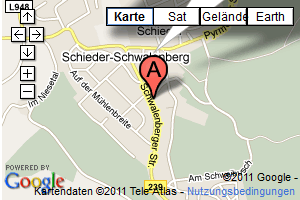 Standort in Google Maps